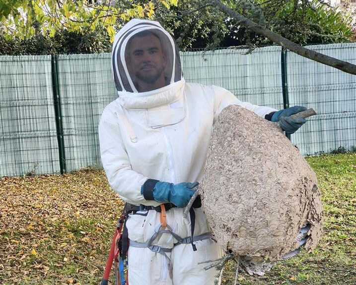 Christophe Guillemin désinsectiseur Essonne avec nid de frelons asiatiques