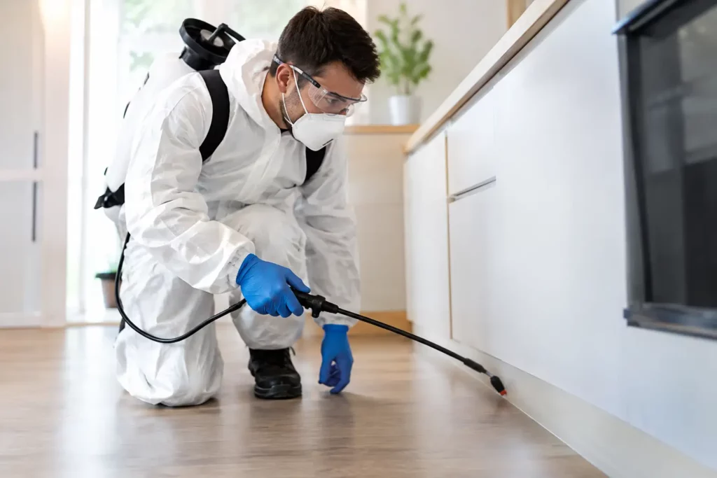 Pourquoi une entreprise anti-nuisibles Certibiocide